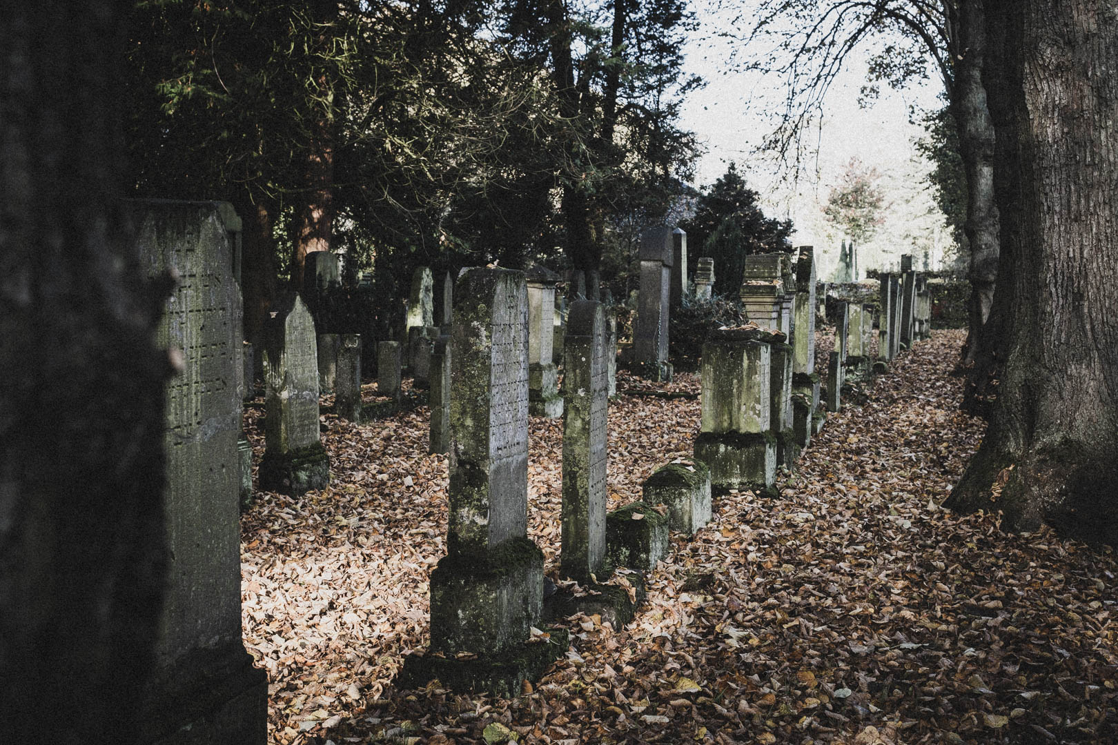 Norden (Ostfriesland), Jüdischer Friedhof